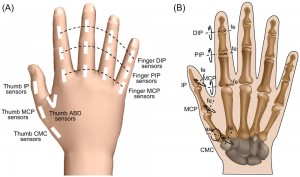 Liu2016PLOSONE_fig1