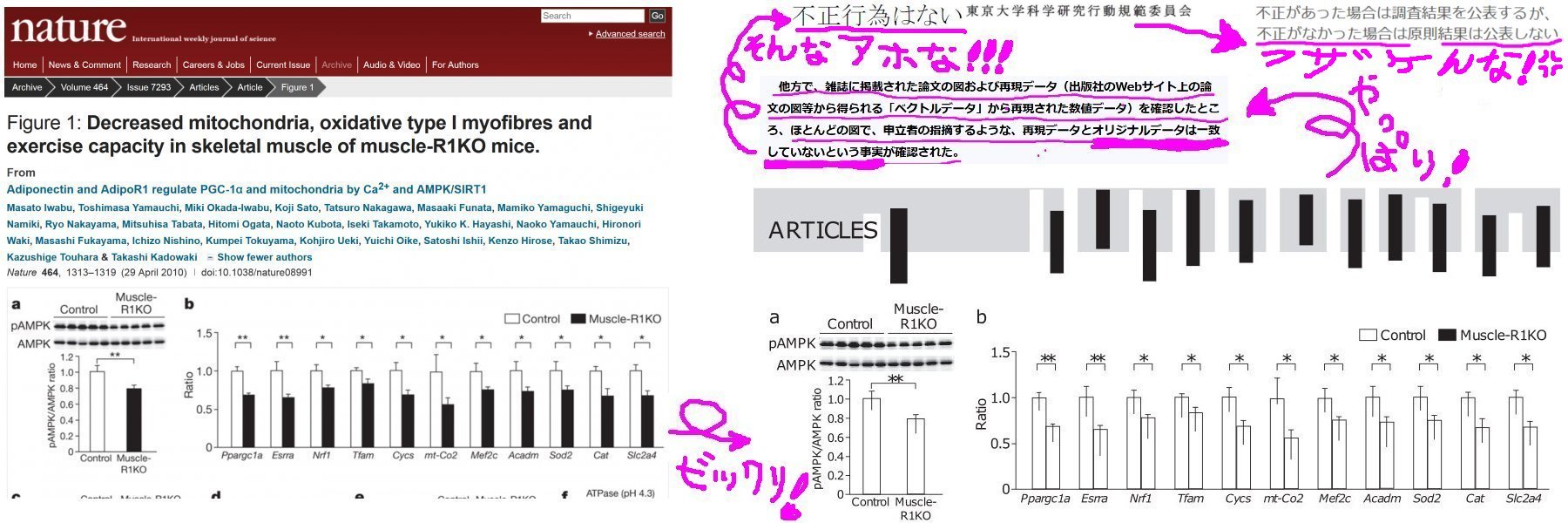東京大学が医学部研究不正疑惑論文に関する調査報告書を国民に開示しないのは違法（総務省審査会第4部会の判断）
